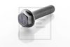 PE Automotive 010.169-00A Bolt, brake disc
